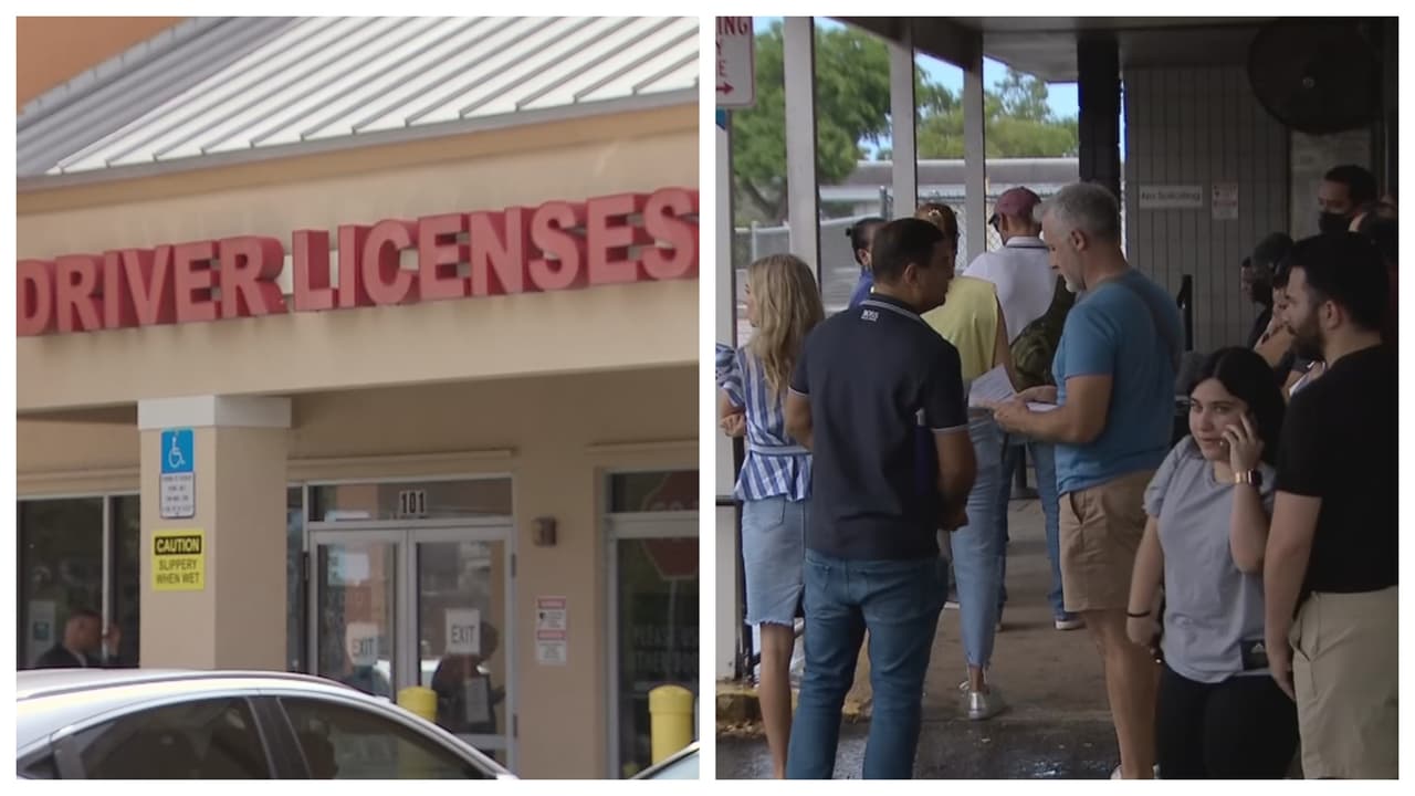 Reportan largas filas y esperas de meses para sacar o renovar la licencia de conducir en el sur de Florida
