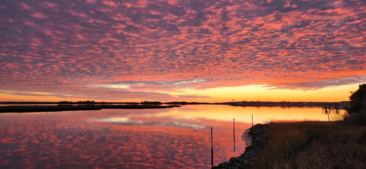 Conoce más sobre Hammocks Beach State Park, 
<b><a href="https://www.ncparks.gov/state-parks/hammocks-beach-state-park">aquí</a></b>.