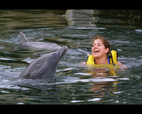 TripAdvisor dejará de vender boletos para nado con delfines, paseos con elefantes o fotografías con tigres