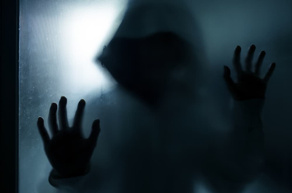 Cáncer, con su lado súper emocional y sensible, tiene los dos lados de la moneda: sería la persona que encuentra todos los muertos y grita y llora todo el tiempo, con la posibilidad de caer víctima del asesino, pero también tiene el potencial de ser quien sobreviva al final.