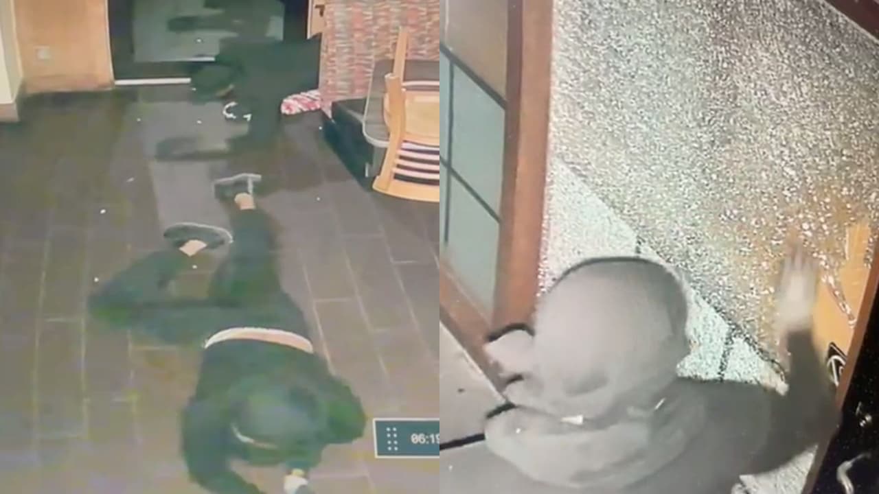 Las imágenes que muestran cómo tres ladrones se arrastran para robar una pizzería y evitar ser detectados