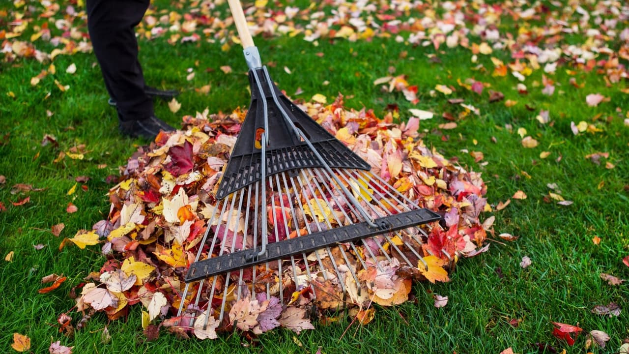 <b>Limpia de forma segura:</b> después de que haya pasado la tormenta, asegúrate de limpiar de forma segura. Nunca toque cables caídos y siempre llama al 8-1-1 o visita 811express.com.