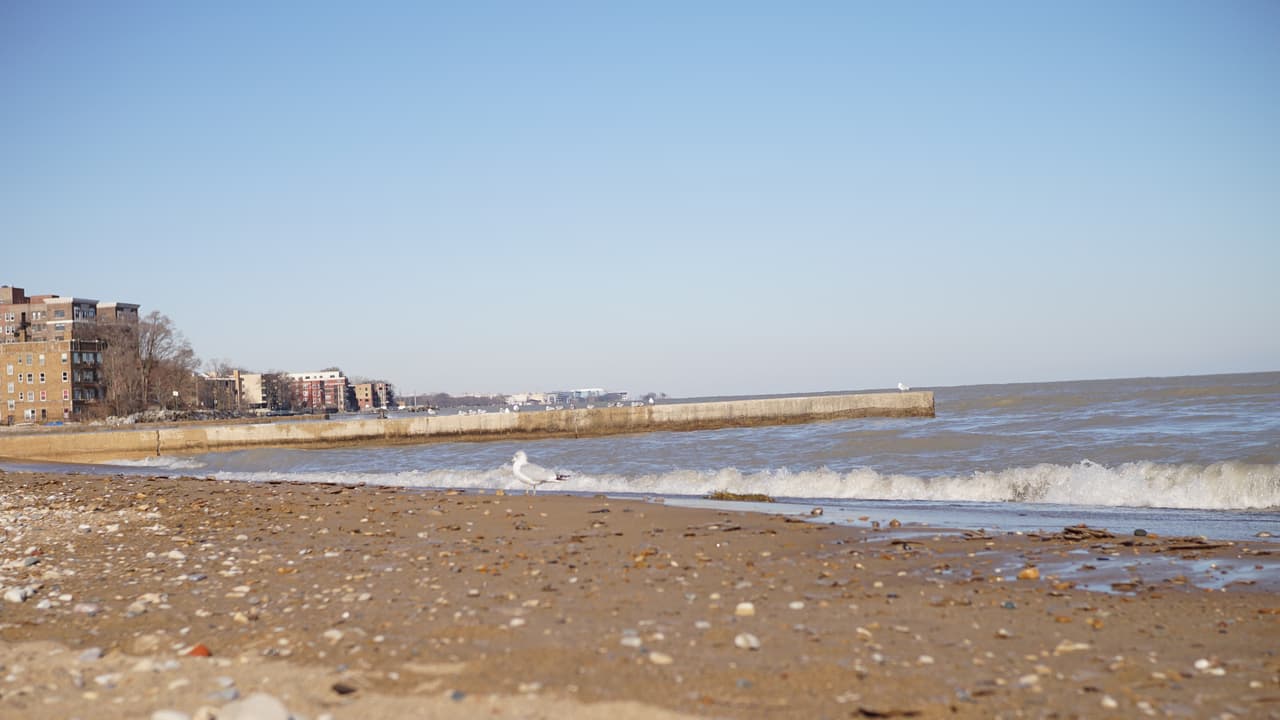 “Siempre hemos tenido este acceso único al lago”, dijo Perkins, quien indica que esto estas pérdidas son algo que se va a lamentar. La playa Loyola continúa siendo accesible.