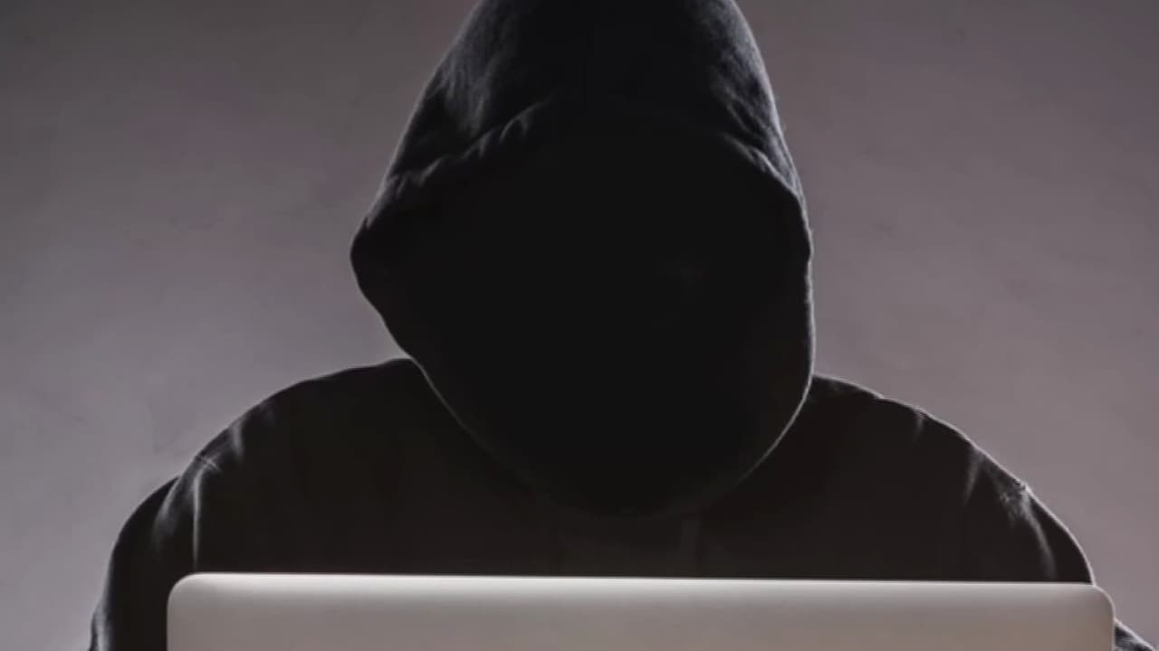 Operativo encubierto en Virginia termina con varios arrestados por acoso a menores