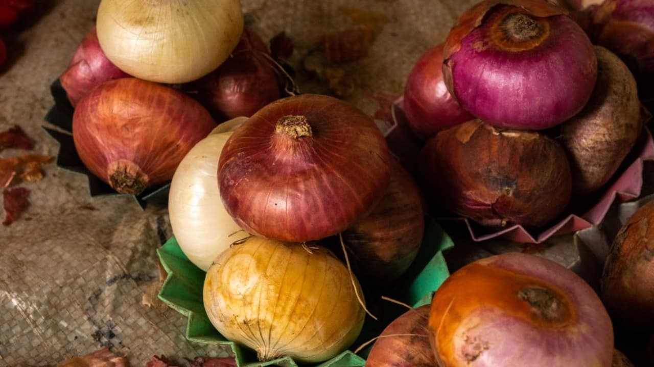 El doctor John Franco explica que los síntomas de esta infección “normalmente son fiebre y diarrea con sangre” y que pueden empezar luego de seis horas o hasta seis días después de consumir la cebolla. El experto aclara que la infección se puede producir tanto si consumiste el producto crudo o cocinado.