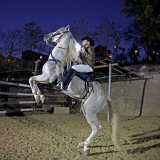 <b>Lenin Ramírez</b>, por su parte, hasta le compuso un corrido a uno de ellos: 'Un frisian llamado
<b>Centenario</b>'. En la canción describe su amistad con un caballo, a la vez que llora su muerte.