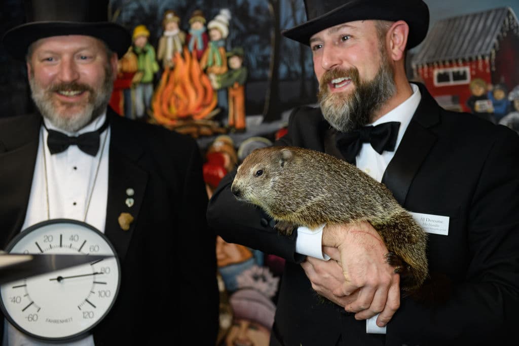 Los miembros del Club de la Marmota de Punxsutawney, Jason Gursky y su adiestrador oficial, AJ Dereume, realizan una llamada de Zoom con escolares de cientos de escuelas de todo Estados Unidos. El evento atrajo a 44,000 personas a Punxsutawney, la pequeña ciudad de 22,000 habitantes del centro de Pennsylvania, aunque se celebró de forma virtual, sin permitir visitas.