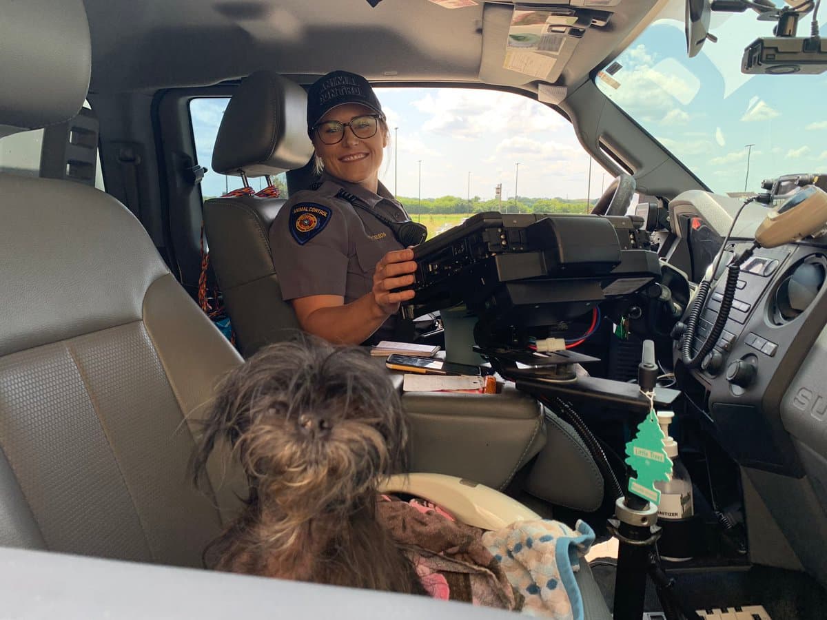 La mascota ahora está con su familia, pero según autoridades, antes de llegar a casa deberá ir al veterinario.