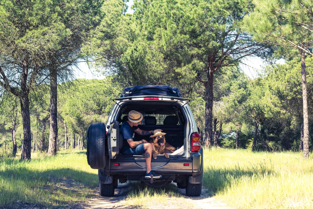 El 56% también dice sentirse seguro viajando a nivel nacional, mientras que solo el 26% comparte este sentimiento con respecto a viajar fuera del país.