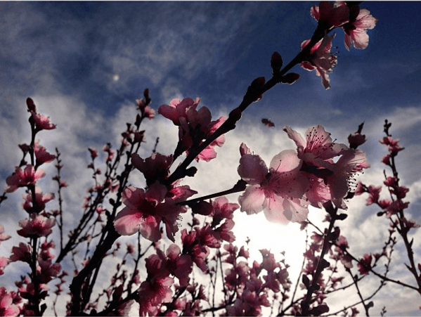 Una hermosa toma llena de color.