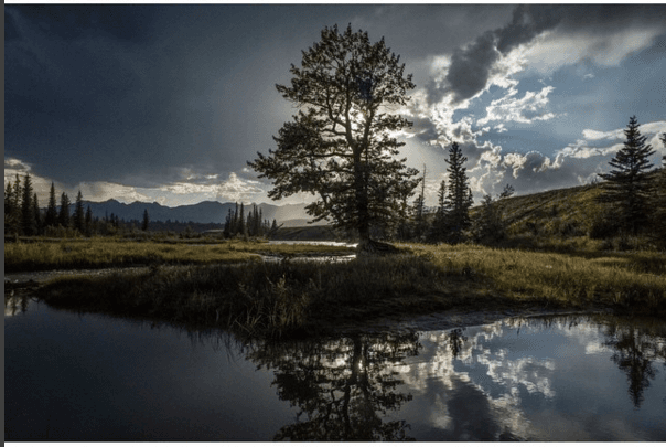 Pero Emmanuel es un profesional que vive atravez de la lente.