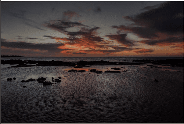 Además de los Oscares, 'El Chivo' se ha hecho acreedor a 4 Baftas, 5 Premios de la American Society of Cinematographers y 4 Critics' Choice Movie Awards.