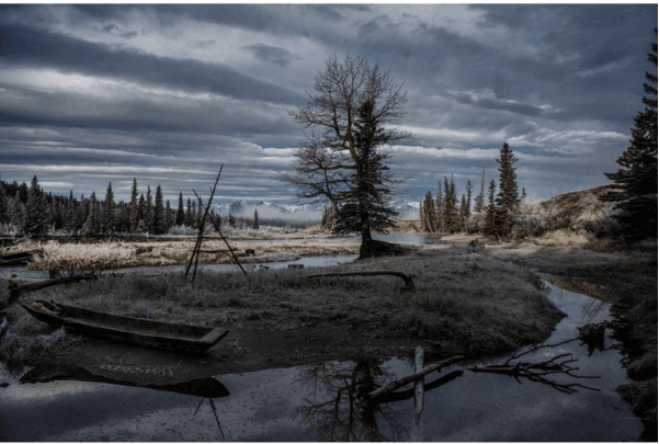 Junto al cineasta mexicano realizó trabajos de fotocinematografía como 'Great Expectations', 'Y Tu Mamá También', 'Children of Men' y la premiada 'Gravity', que le mereció su primer Oscar por Fotografía.