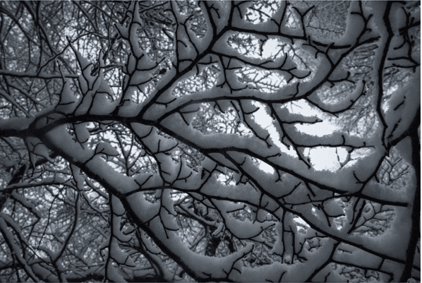 En 1991 hizo su primera colaboración con el que lograría su primera gran mancuerna, 'Sólo con tu pareja' de Alfonso Cuarón'.