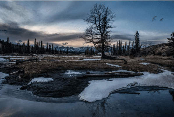 "...Esto lo empezamos a hacer demasiado tarde en el año, entonces ya no había tiempo de hacer la preproducción y comenzar el filme, que necesitaba el otoño y el invierno, y se cayó. Ahí surgió la posibilidad de hacer Birdman inmediatamente, me enseñó el guión y fue un shock..."