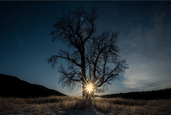 El camino no ha sido sencillo, pero aún así Emmanuel Lubezki ya tiene un nombre dentro de la indudtria y en esta edición del Oscar va por su tercer estatuilla.