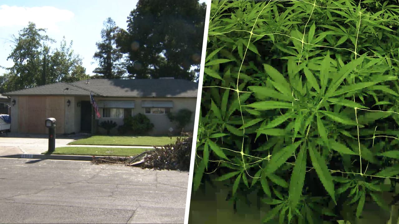 Bomberos hallan material de cultivo de marihuana durante incendio en el noroeste de Fresno