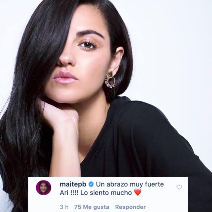La actriz y cantante Maite Perroni le hizo saber cuánto lamentaba su pérdida: "Un abrazo muy fuerte, Ari. Lo siento mucho", comentó junto con un corazón rojo.