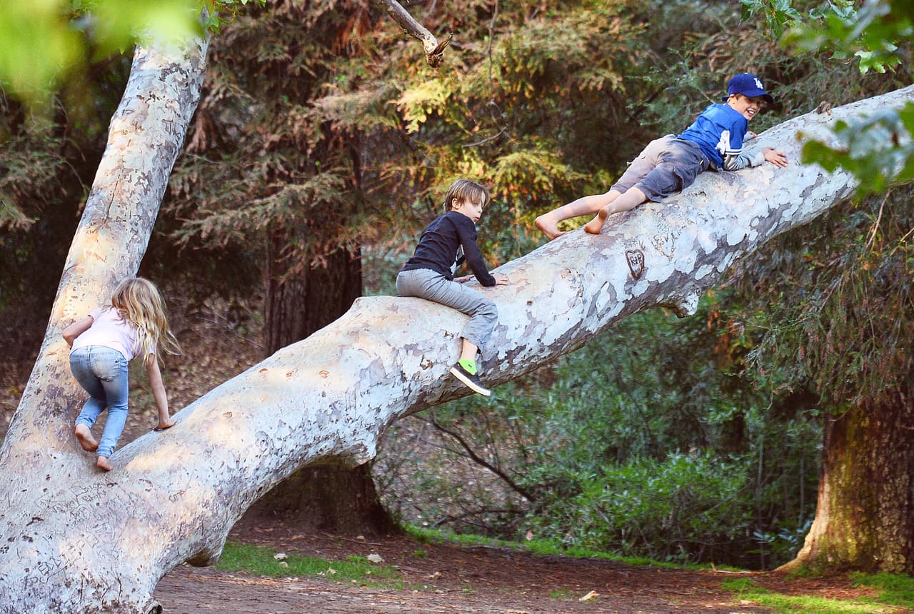 Los niños se ven tranquilos y contentos, al parecer la noticia del divorcio de sus padres no les ha afectado.