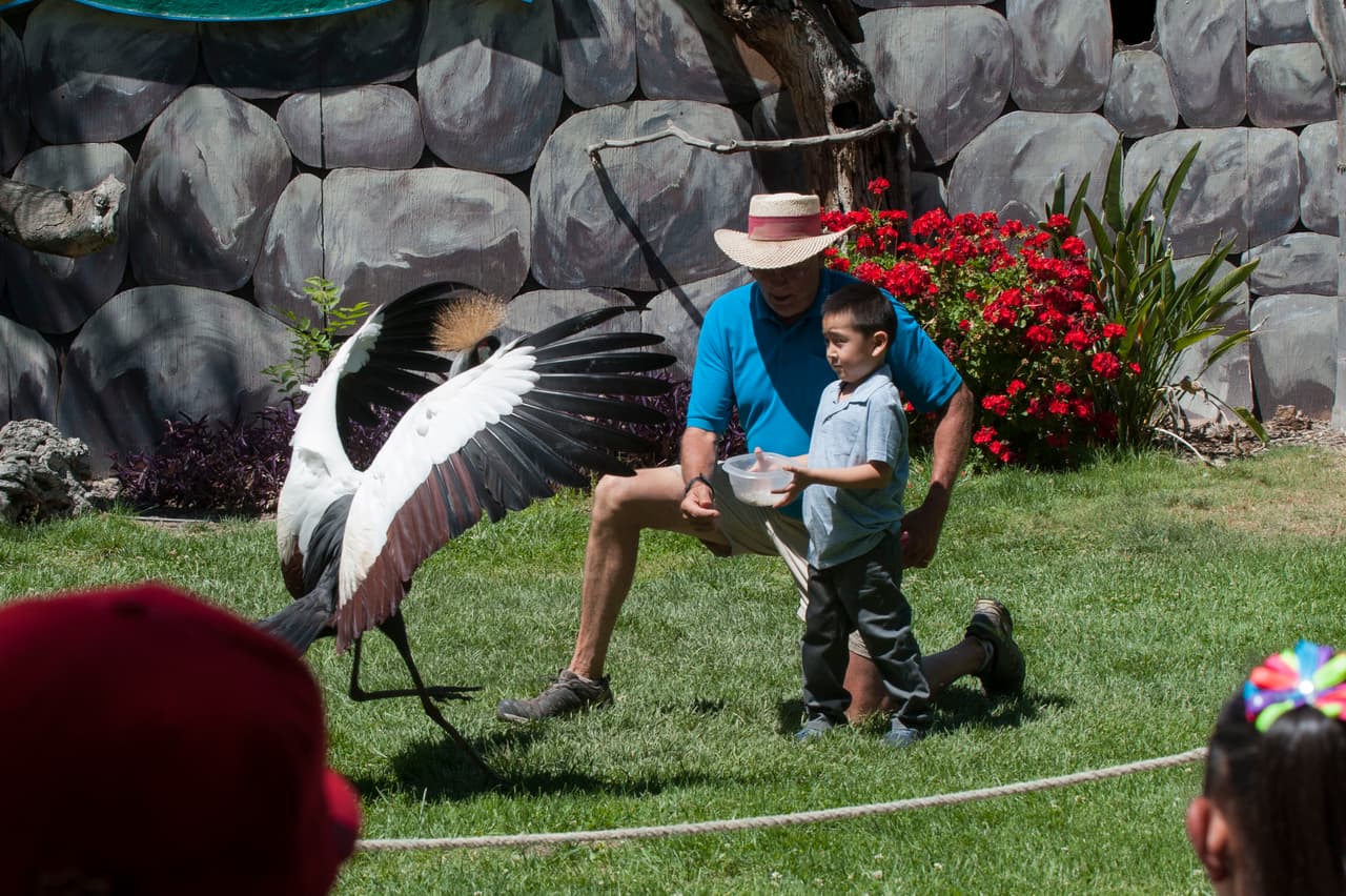 Un bello dia fue perfecto para las familias desde Bakersfield a Modesto.