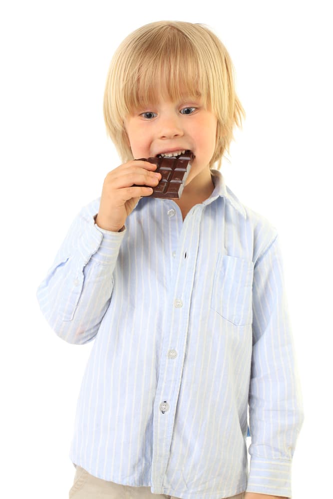 Chocolate. Este es uno de los snack que tus hijos amará y te amará más a ti por mandárselos se trata del chocolate; este se recomienda porque les ayuda en su alta concentración de cacao ya que contiene muchas vitaminas y minerales.