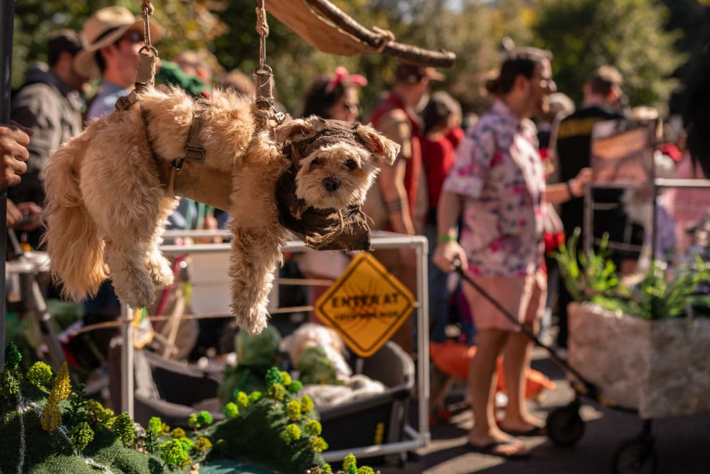Con atuendos coloridos decenas de mascotas y sus dueños desfilaron por el East Village.
<br>
