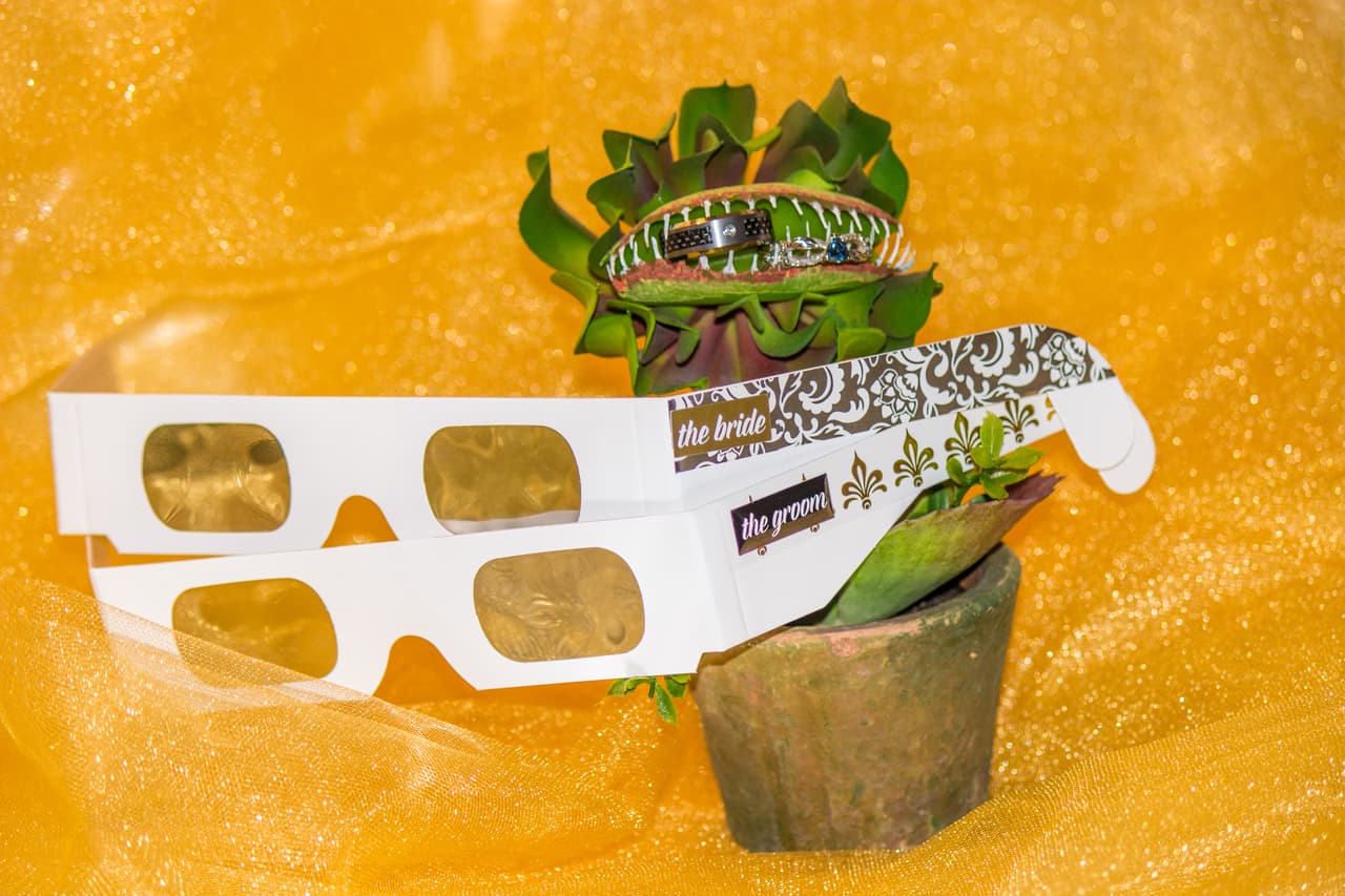 Entre los preparativos para esta celebración, además de flores, la pareja compró gafas de eclipse solar para que los invitados observaran junto a ellos el eclipse. El vestido de la novia además estaba bordado con hilos fluorescentes y estrellas de tal manera que brillara en la oscuridad del eclipse.