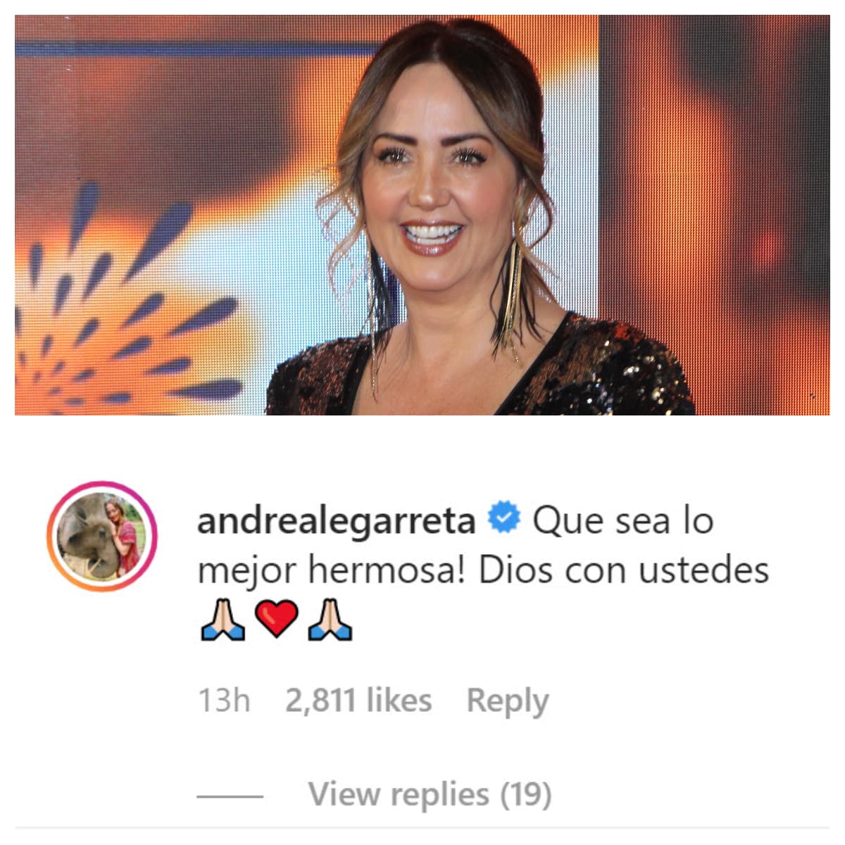 Por ejemplo, la presentadora 
<b><a href="https://www.univision.com/famosos/erika-buenfil-no-es-la-unica-reganada-andrea-legarreta-dice-quienes-le-prohibieron-subir-videos-de-tik-tok-fotos" target="_blank">Andrea Legarreta</a></b> le dedicó estas cariñosas palabras a Aislinn Derbez, de 32 años: "¡Que sea lo mejor hermosa! Dios con ustedes".
<br>