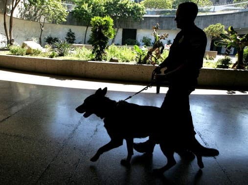Hombre se despertó cuando un desconocido le estaba chupando los pies en su cama
