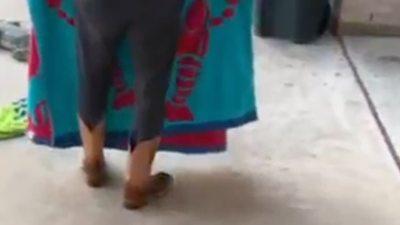 El padre puso una toalla encima del animal para calmarlo mientras fue a dejar a sus hijos a la escuela.