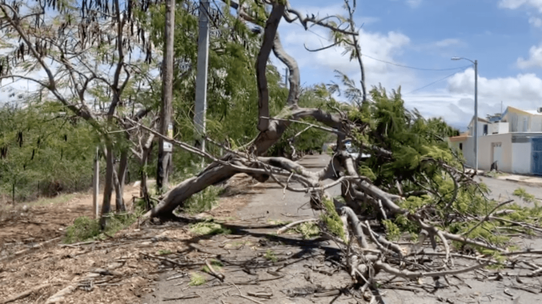 Gobierno de Puerto Rico no ha solicitado acceso al Fondo de Emergencia tras los terremotos registrados el fin de semana