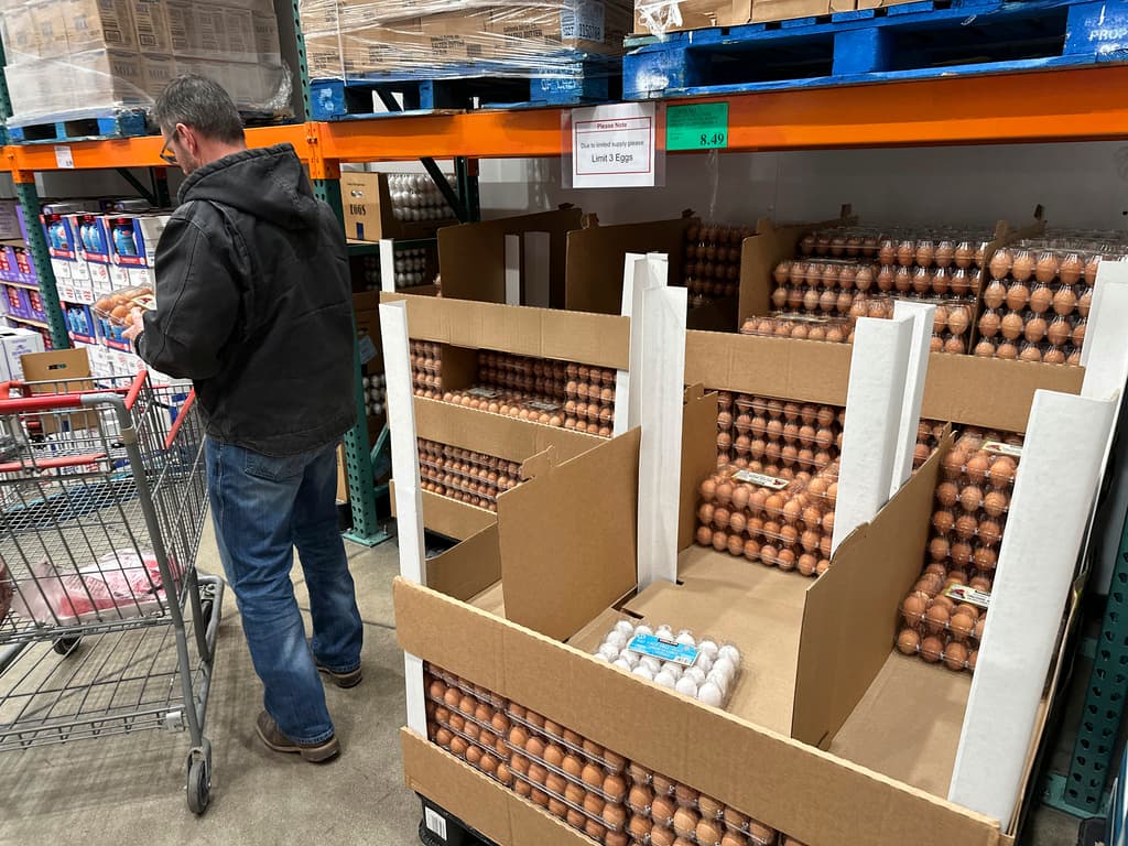 El gobierno pronostica que el precio de los huevos en EEUU podría aumentar un 41% más este año