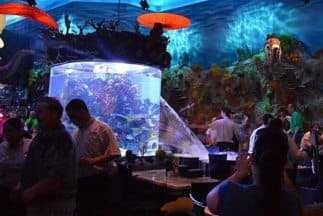 Pánico en un restaurante de Disney al agrietarse un acuario gigante