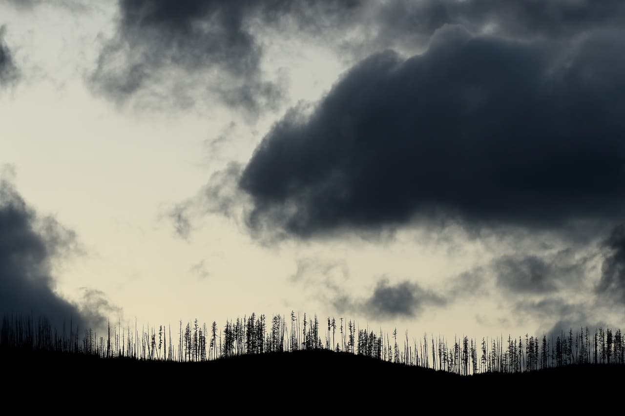 Antes del amanecer del 18 de febrero, Marte desaparecerá detrás de la luna a las 6:29 am Esto se llama ocultación lunar. Marte reaparecerá en el otro lado aproximadamente 90 minutos después.