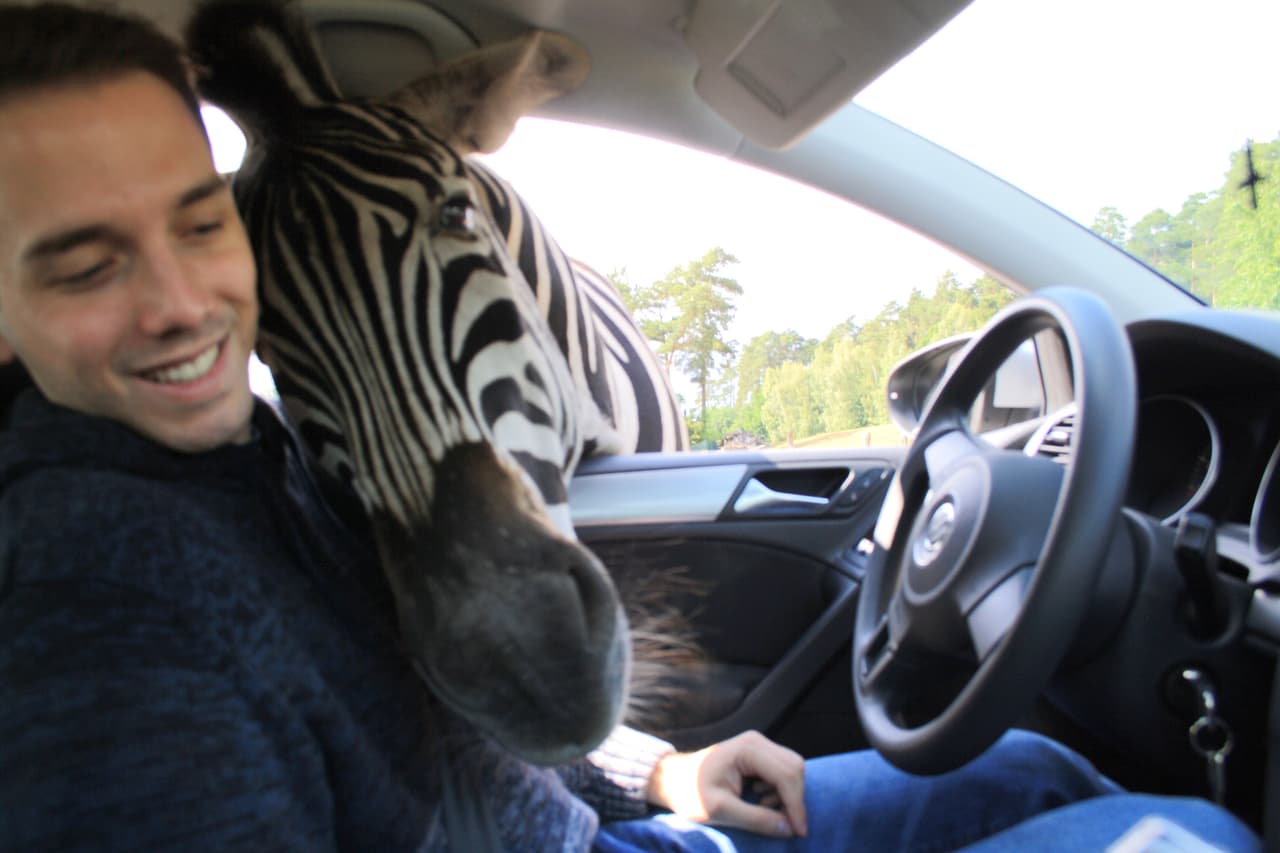 La imagen se hizo rápidamente viral y llegó a los ojos de las autoridades del parque.