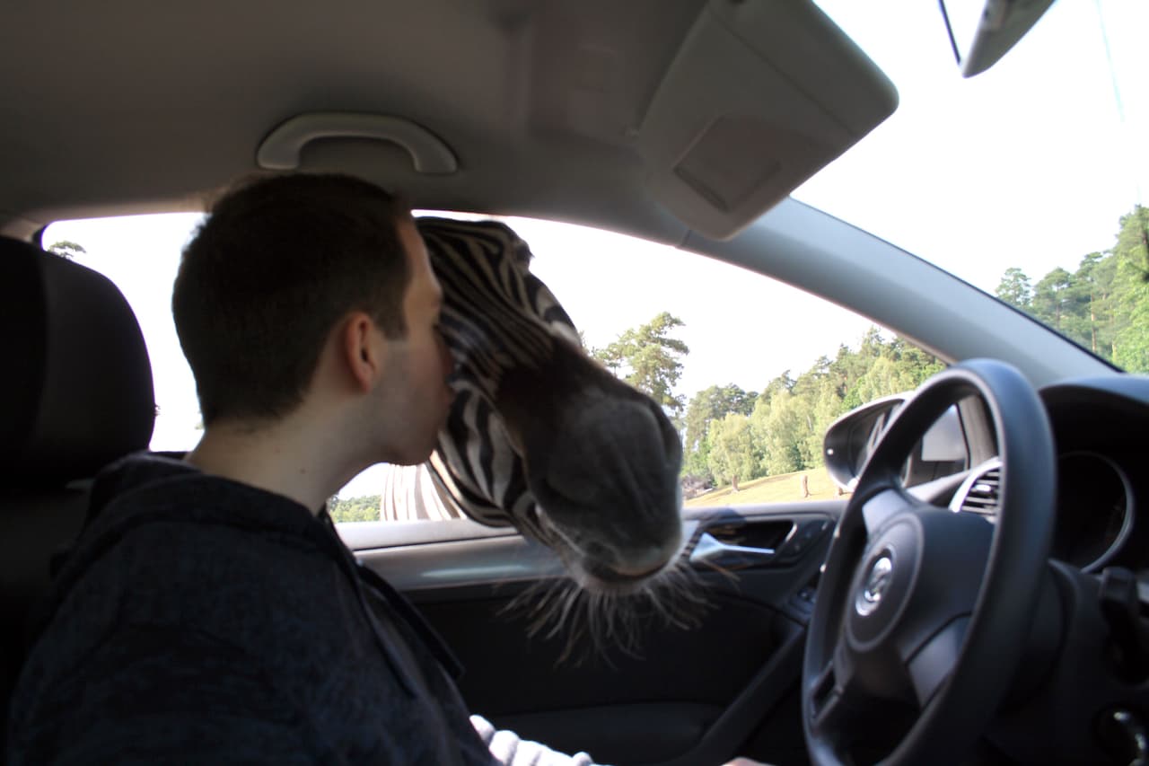 Una vez ahí, le costó un poco de trabajo reconocer a su extrovertido amigo.