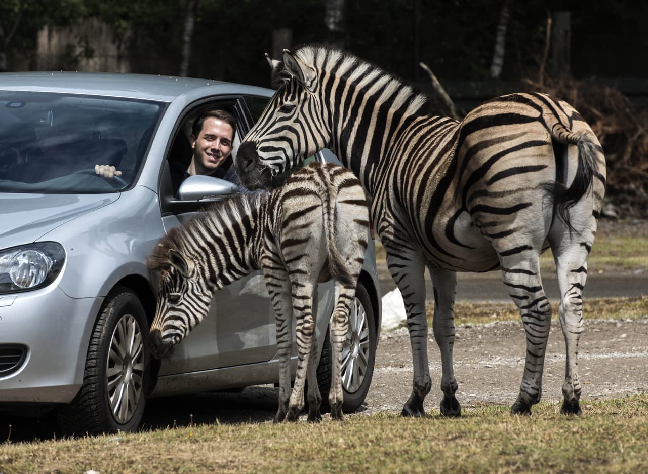 El joven estudiante de administración estaba de viaje.