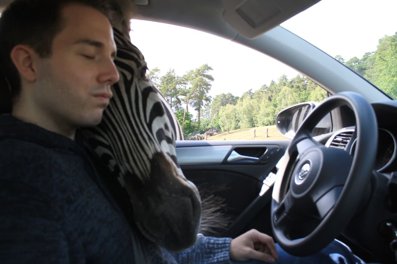 En un rápido movimiento, tomó una selfie con el animal.