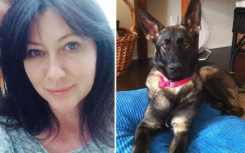La perra de Shannen Doherty fue la primera en detectar su cáncer de mama