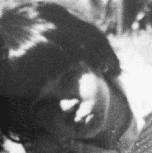 San Juan, Puerto Rico, es su lugar de nacimiento. Sus padres eran músicos, así que siempre supo a lo que se quería dedicar. Este año tiene tres nominaciones a Premio Lo Nuestro.