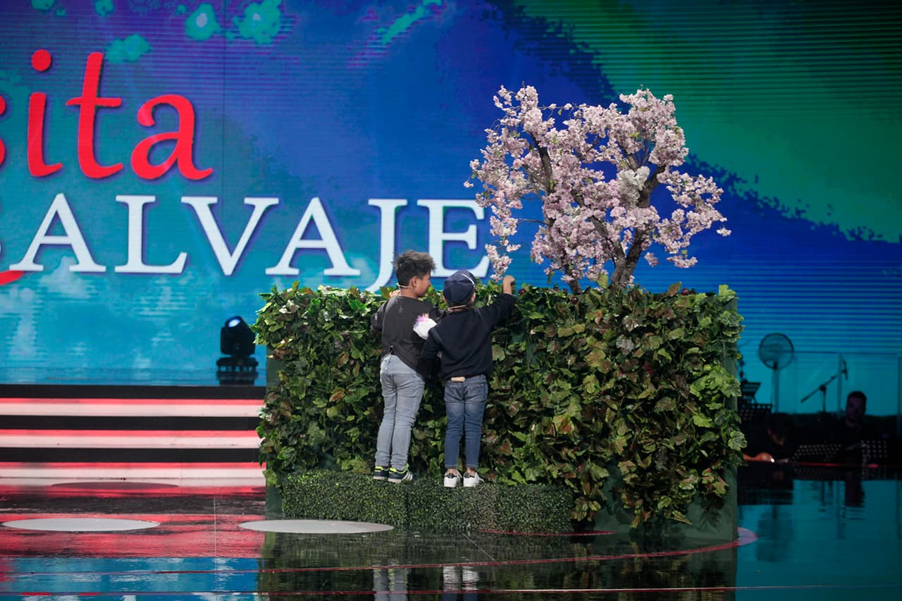 Después, Danna y Albertanito se acercaron a un muro verde, del que tomaron algunas ciruelas, tal como se ve en el intro de la serie.