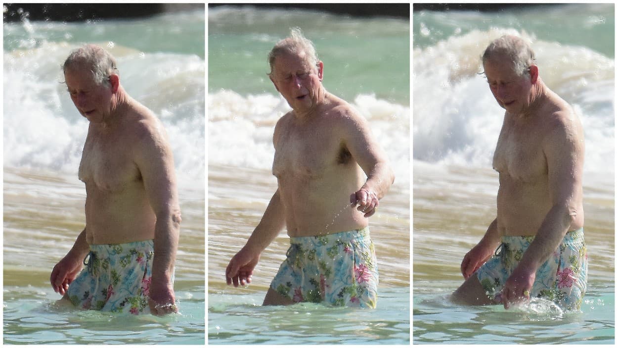 En qué estaría pensando durante su baño de mar, solo él lo sabe. Lo cierto es que además de sus compromisos profesionales, el príncipe Carlos está a punto de convertirse en abuelo nuevamente, pues Meghan Markle, esposa del príncipe Harry, dará a luz pronto.