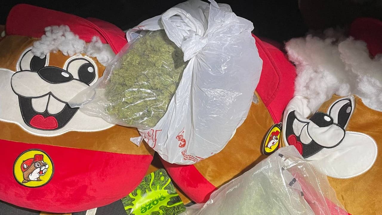 Encuentran peluches del famoso castor de Buc-ee’s rellenos de droga en Texas