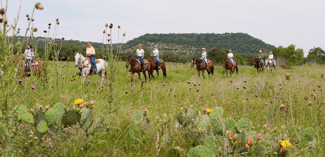 Hill Country State Natural Area | Explore más de 5,000 acres rodeado de cañones, pintorescas mesetas y tranquilos fondos de arroyos en este antiguo rancho al noroeste de San Antonio. Escápese del bullicio de la vida moderna a un momento y lugar más relajado.
