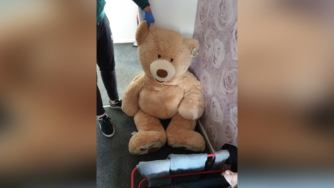 Notaron que el juguete 'respiraba': Un joven fugitivo es arrestado tras ser hallado dentro de un oso de peluche gigante