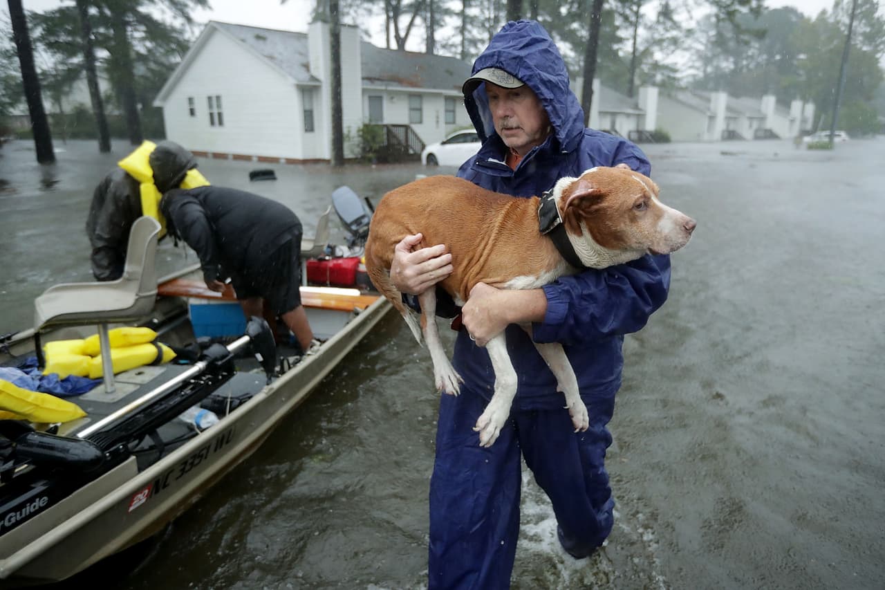New Bern y sus vecinas han sido afectadas por más de 10 pies de marea de tormenta y probablemente más de 10 pulgadas de lluvia, según información de CNN. Voluntarios de todo el estado asistieron a los residentes y sus mascotas en las zona.