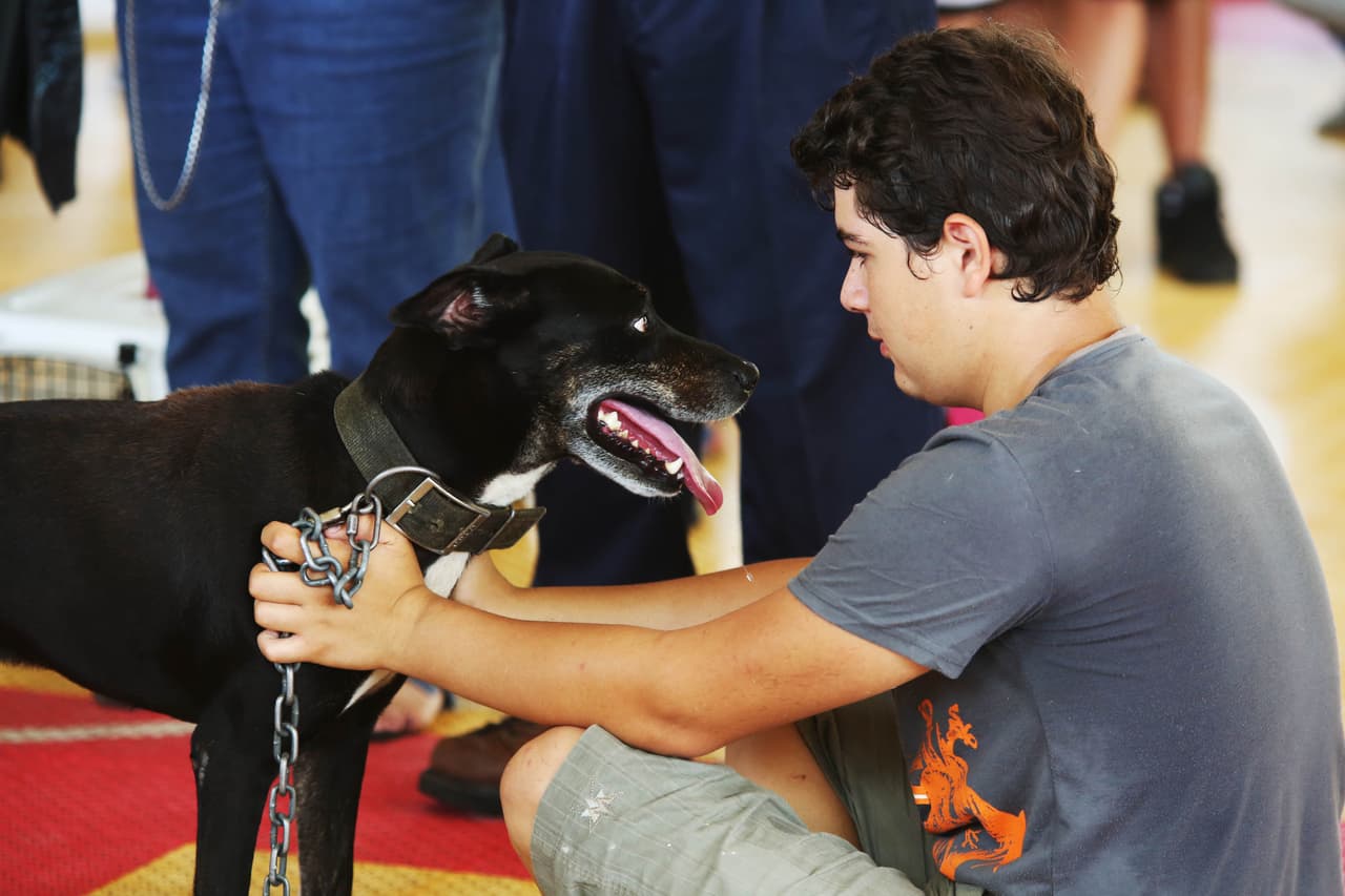 El periodo de incubación, es decir, el tiempo que va desde que entra la leptospira en la sangre y la aparición de síntomas de la leptospirosis, suele ser de 7 a 12 días