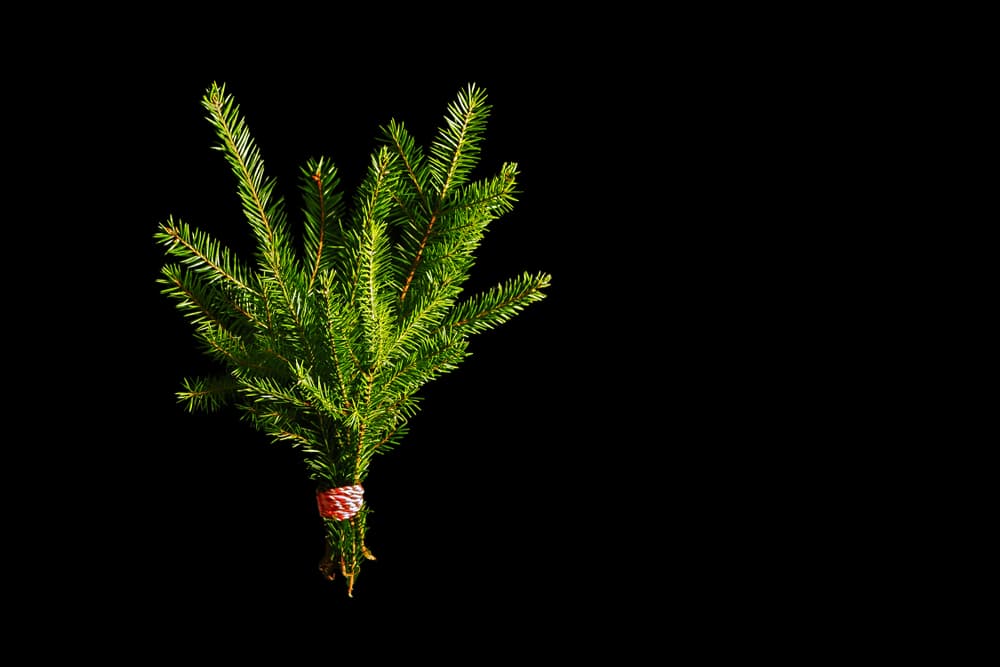 Comenzamos atando tu accesorio u objeto personal a la rama que hayas elegido con la cinta o listón verde.