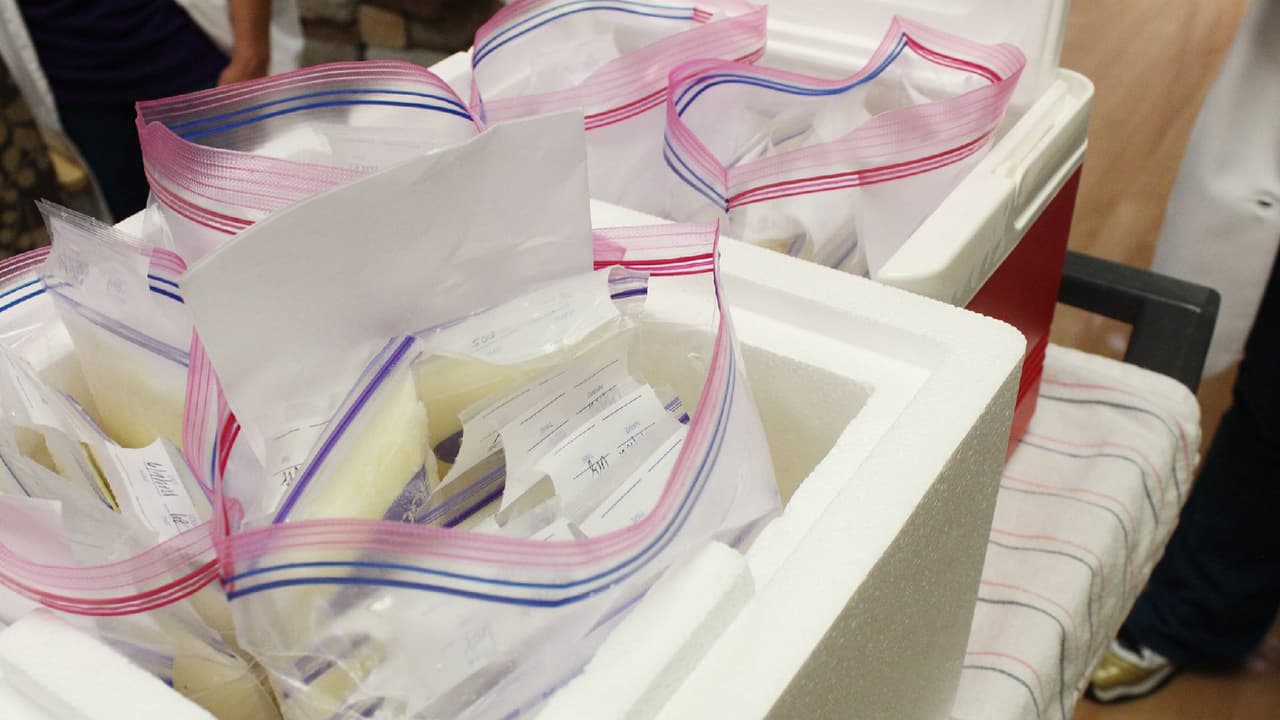 Mediante un comunicado de prensa,
<a href="https://www.tmcaz.com/blogs/newsroom/health-news/tmc-opens-milk-depot-to-accept-breast-milk-donations" target="_blank">TMC HealthCare anunció que se han asociado con ‘Mothers Milk Bank’</a> para abrir un banco (
<i>depot</i> en inglés) de leche materna.