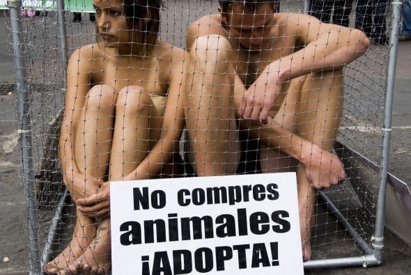 La Alameda Central de la Ciudad de México se llenó de activistas semidesnudos que se manifestaron contra la venta y compra de animales. La singular característica de los manifestantes fue la que llamó la atención entre los transeúntes.